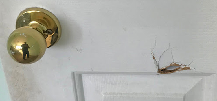 interior door hole repair Orcutt