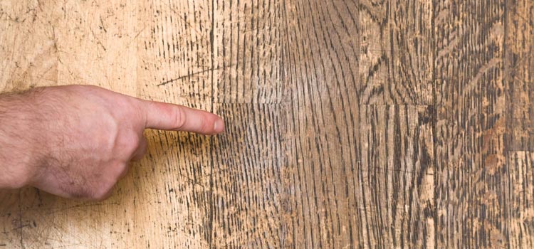 Wood Door Scratch Repair in Orcutt